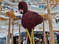 -凯德广场(学府店)