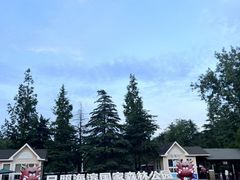 -日照海滨国家森林公园
