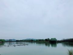 -太湖湖滨国家湿地公园-停车场