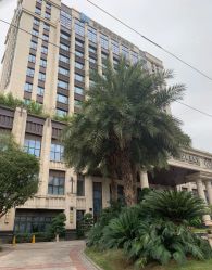 -重庆安琪儿妇产医院-妇幼保健联盟医院