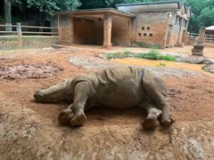 -昆明动物园