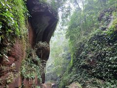 -赤水丹霞旅游区·佛光岩