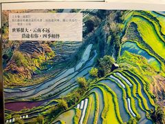 -沿途四季·云南菜(建外大街店)