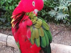 -南宫五洲植物乐园