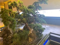 -潮上潮(南中环店)