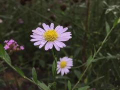 香薰山谷-紫颐香薰山谷景区