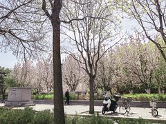 -元大都城垣遗址公园