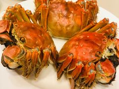 -王宝和酒家(黄浦店)