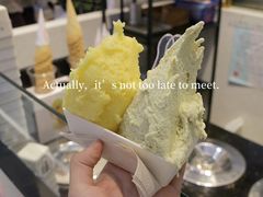 开心果-野人先生现做冰淇淋(西安赛格店)