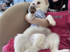 -怪兽屋·羊驼·猫咖·狗咖(俊华广场店)