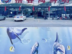 -巽寮湾