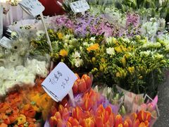 -循礼门鲜花花市(武汉循礼门店)