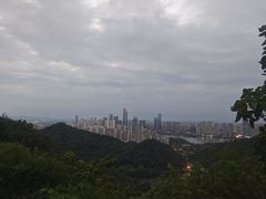 -桃花岭景区