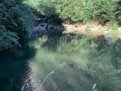 -白云源风景区