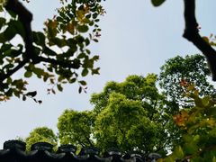 -上海醉白池公园