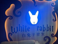 -白兔子密室(长寿路店)