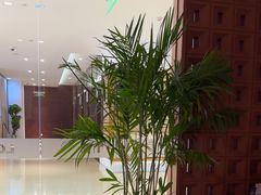-LANN I 蘭·泰式古法按摩(高岛屋百货店)