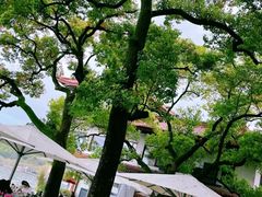 -湖畔居茶楼(湖滨店)