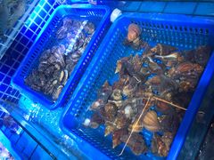 -必点海鲜·鲅鱼水饺(鞍山西道店)