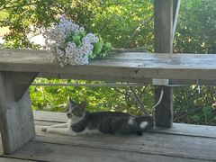 -荒度咖啡(北九水店)