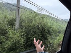 -将军关探险漂流
