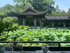 -乾园.魏庐湖景餐厅(花港店)