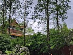 -成都动物园