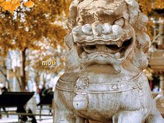 -北京石刻艺术博物馆