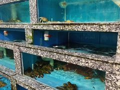 水产区-华威西营里农产品批发市场