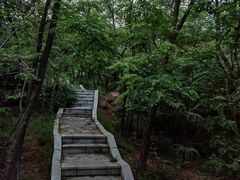 -沈阳森林动物园
