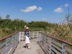 -春花秋色城市公园