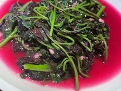 清炒苋菜-不相离盐帮菜(郎园店)