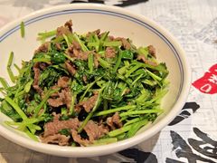 -壹盏灯(华远店)