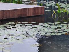 -星巴克(深圳前海企业公馆店)