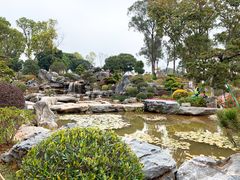 -东莞植物园
