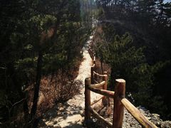 -西尖山公园