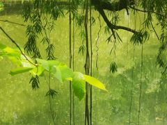 -人民公园(罗湖区)