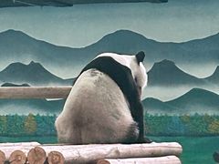 -柳州市动物园