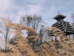 -沈阳植物园