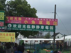 -小鱼草莓采摘园农家乐·小鱼餐厅