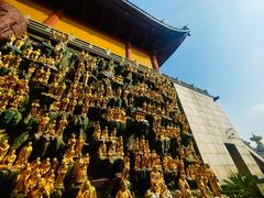 -上海东林寺(金山区)