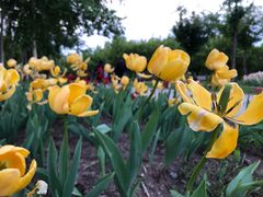 -长春公园(普阳街道)