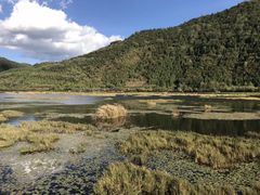 -腾冲北海湿地
