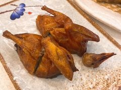 红烧乳鸽-金城大酒店-中餐厅(汾江中路店)