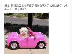 -乐刻运动健身(崇文门新世界店)