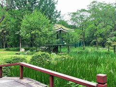 -杭州植物园