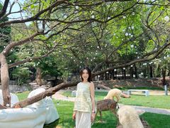 -淄博聊斋城景区