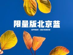 -北京西山国家森林公园