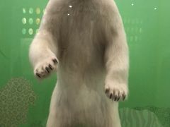 -陕西自然博物馆