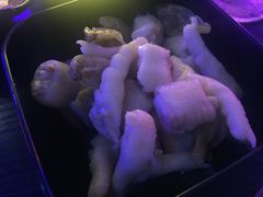 -好久不见网红乐队酒吧(鼓浪屿海底世界店)